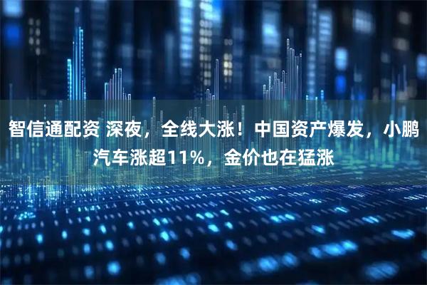 智信通配资 深夜，全线大涨！中国资产爆发，小鹏汽车涨超11%，金价也在猛涨