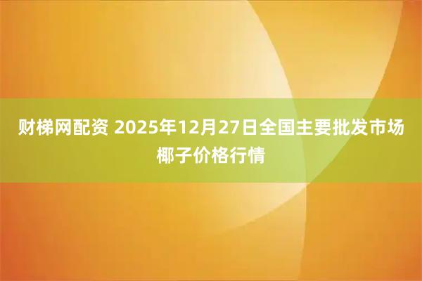 财梯网配资 2025年12月27日全国主要批发市场椰子价格行情